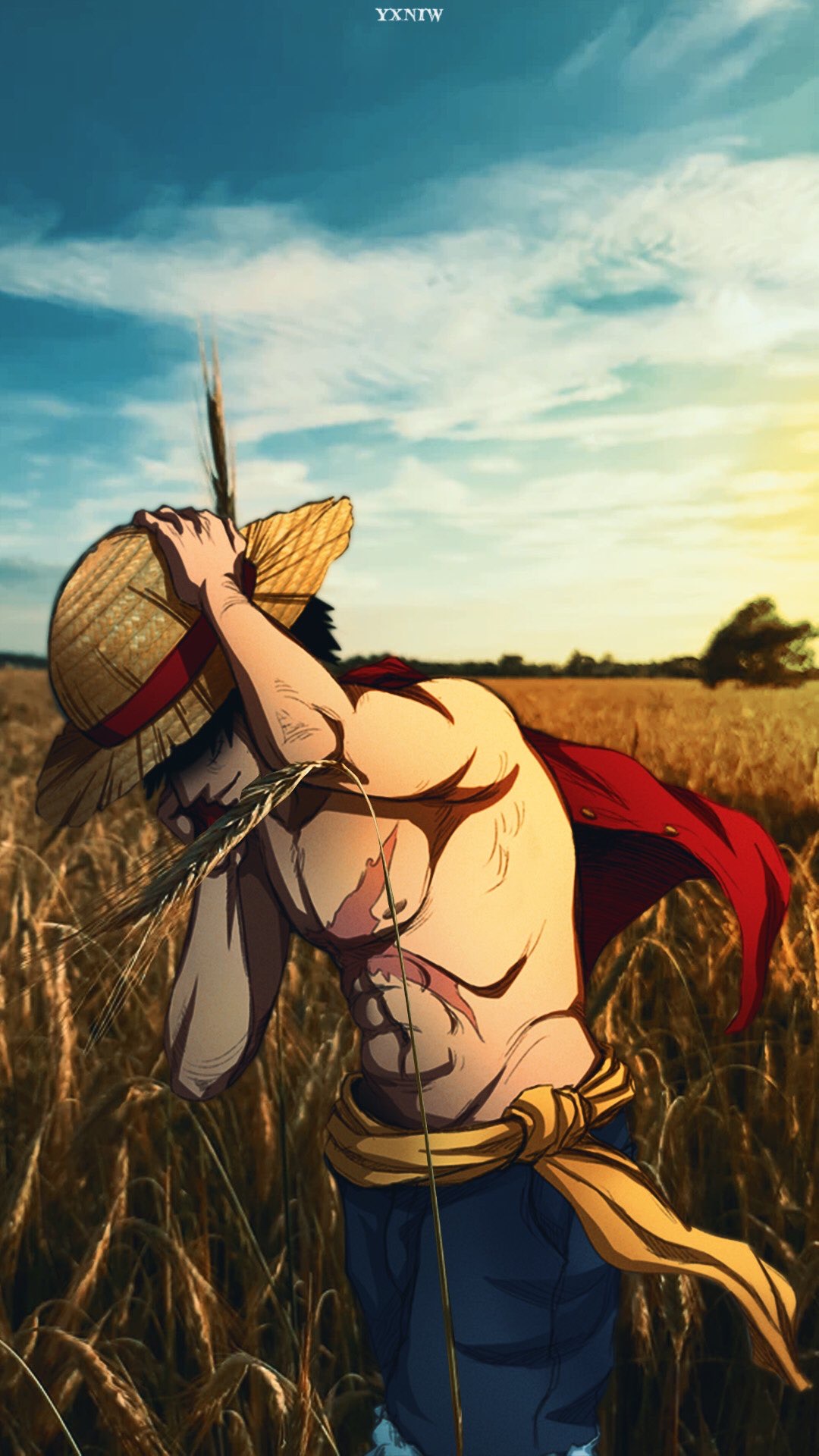 Luffy